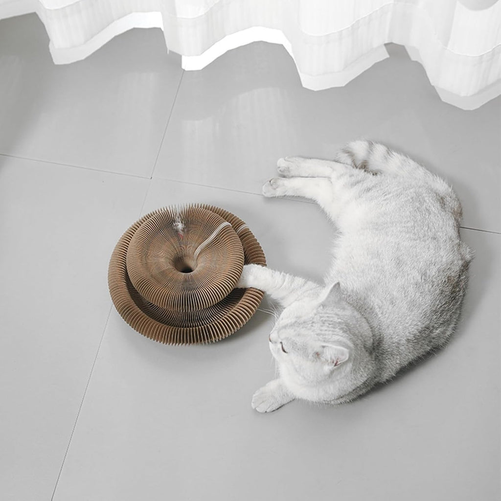 Kitty Curls Interactive Cat Toy - Foldable Accordion Scratch Pad with Ball, Recyclable Design (Pink)